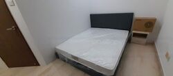 Balmoral Gate (D10), Condominium #455159571